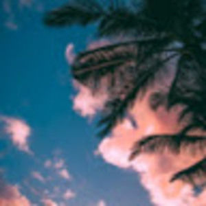 Meet your Posher, Marty